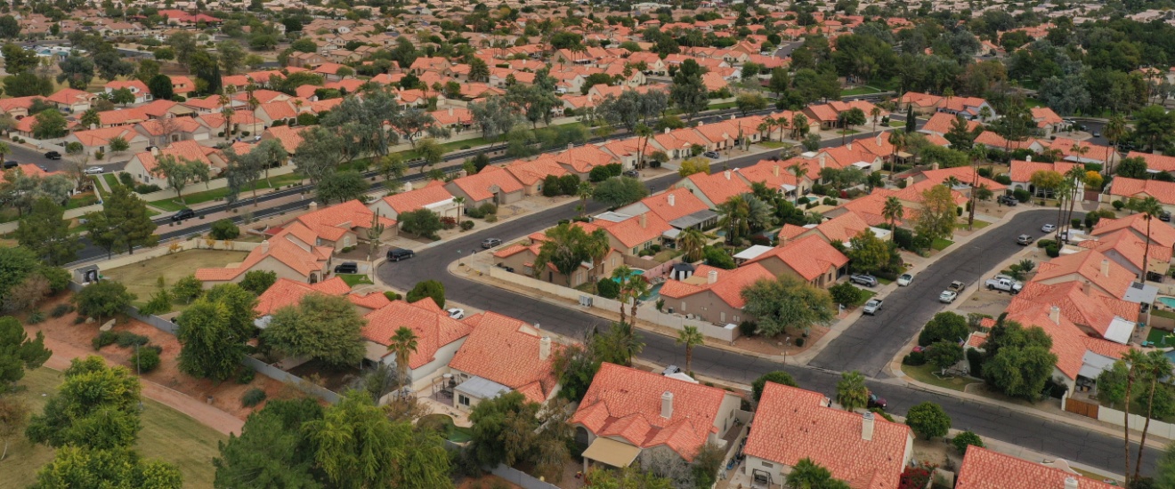 The Most Common Pests Found in Gilbert Homes