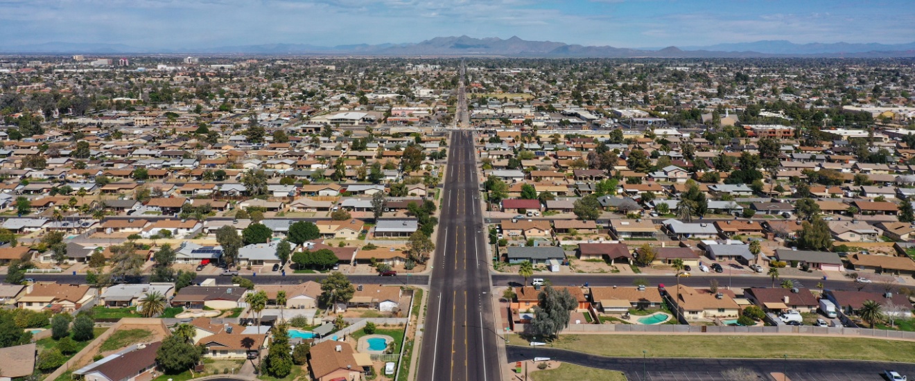 Who Should I Hire for Pest Control in Mesa?