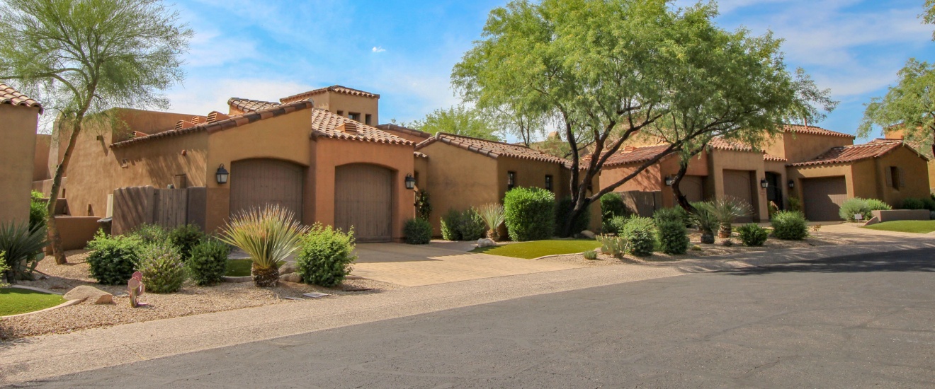 Why Mesa Homes Near Desert Areas Experience More Pest Activity