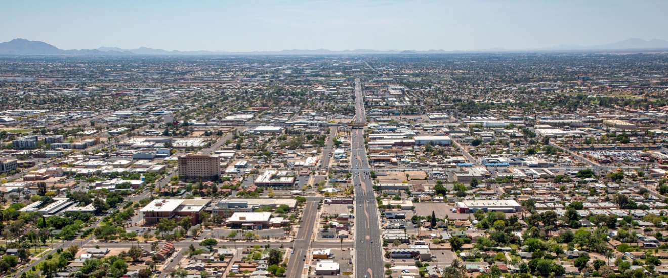 Gilbert vs. Mesa: Which City Has More Pest Activity?