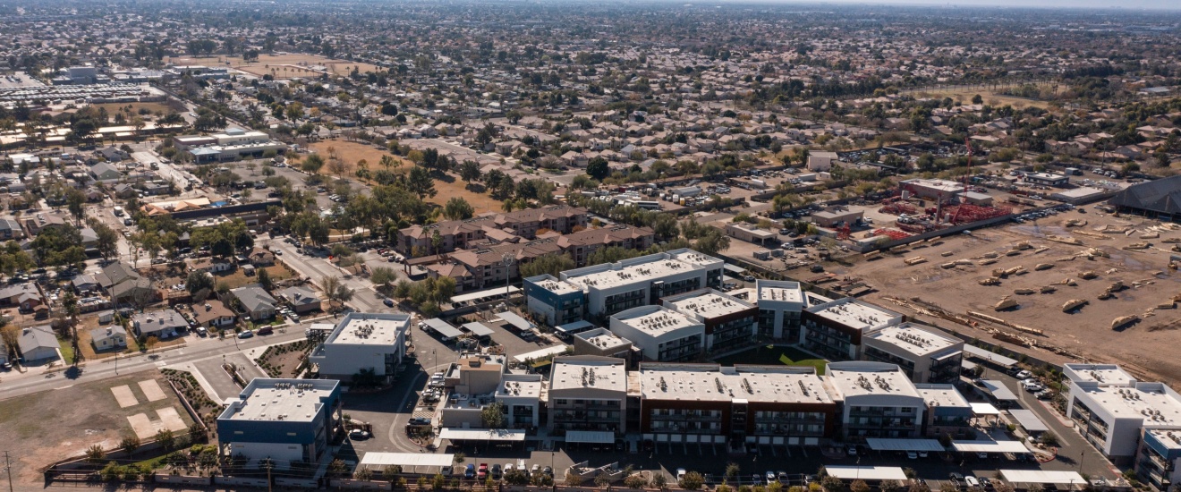 East Valley Pest Calendar: What Pests Are Active Each Month?