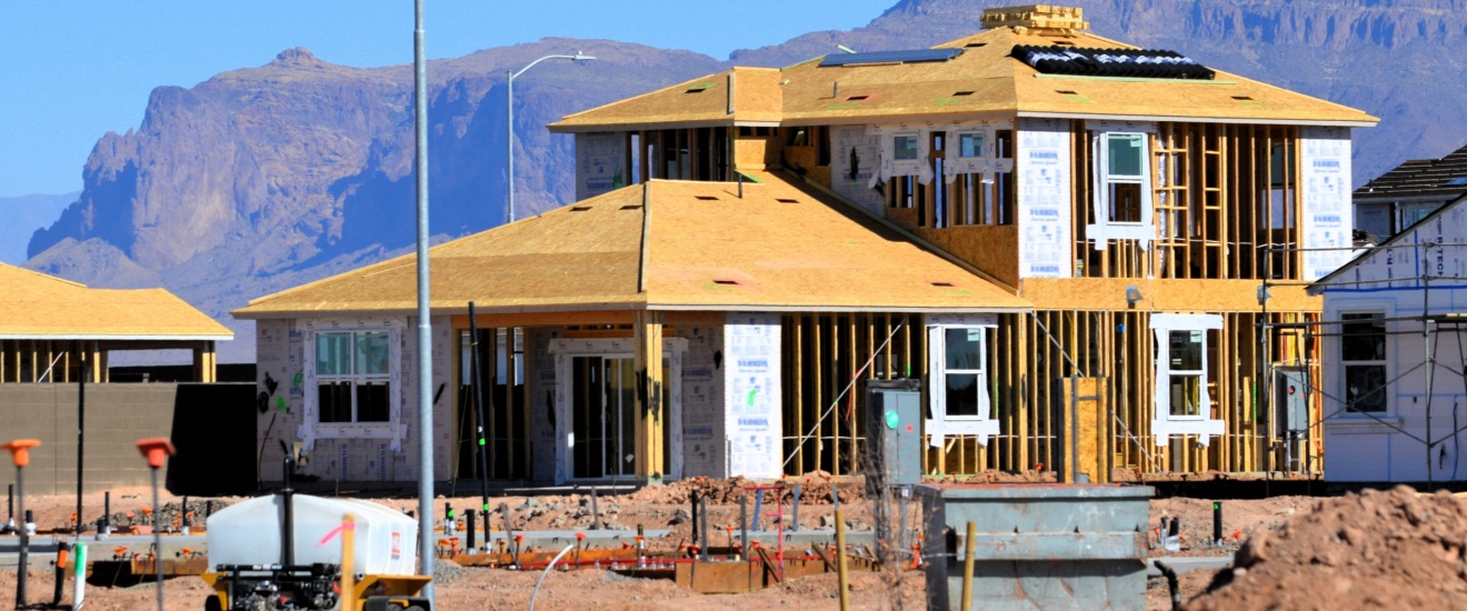 Why New Construction Homes in Mesa, AZ Still Get Pest Problems